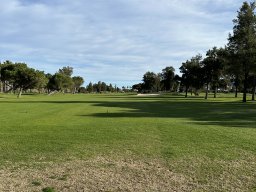 183-08-01-2026 IMG_3384